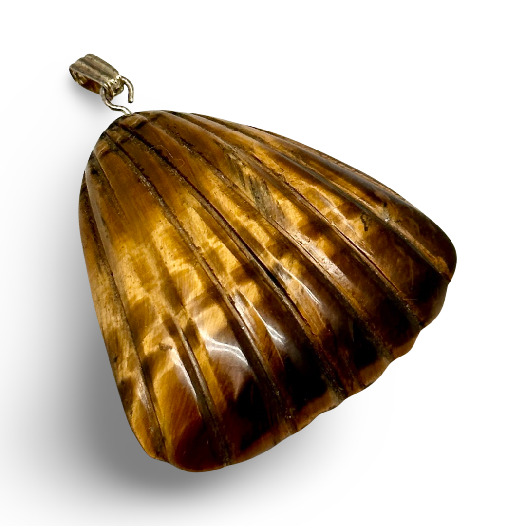 Tigers Eye Pendant - Clam Pendant