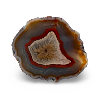 Natural Agate Polished Geode